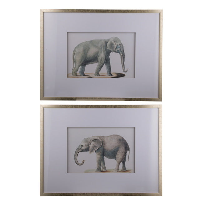 Set of 2 Elephant Print Frames