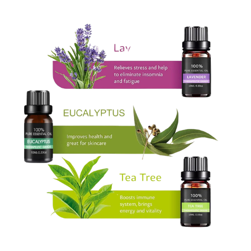 Aromas - Essential Oil Set β 6 Piece Plant-Based Aromatherapy Oils