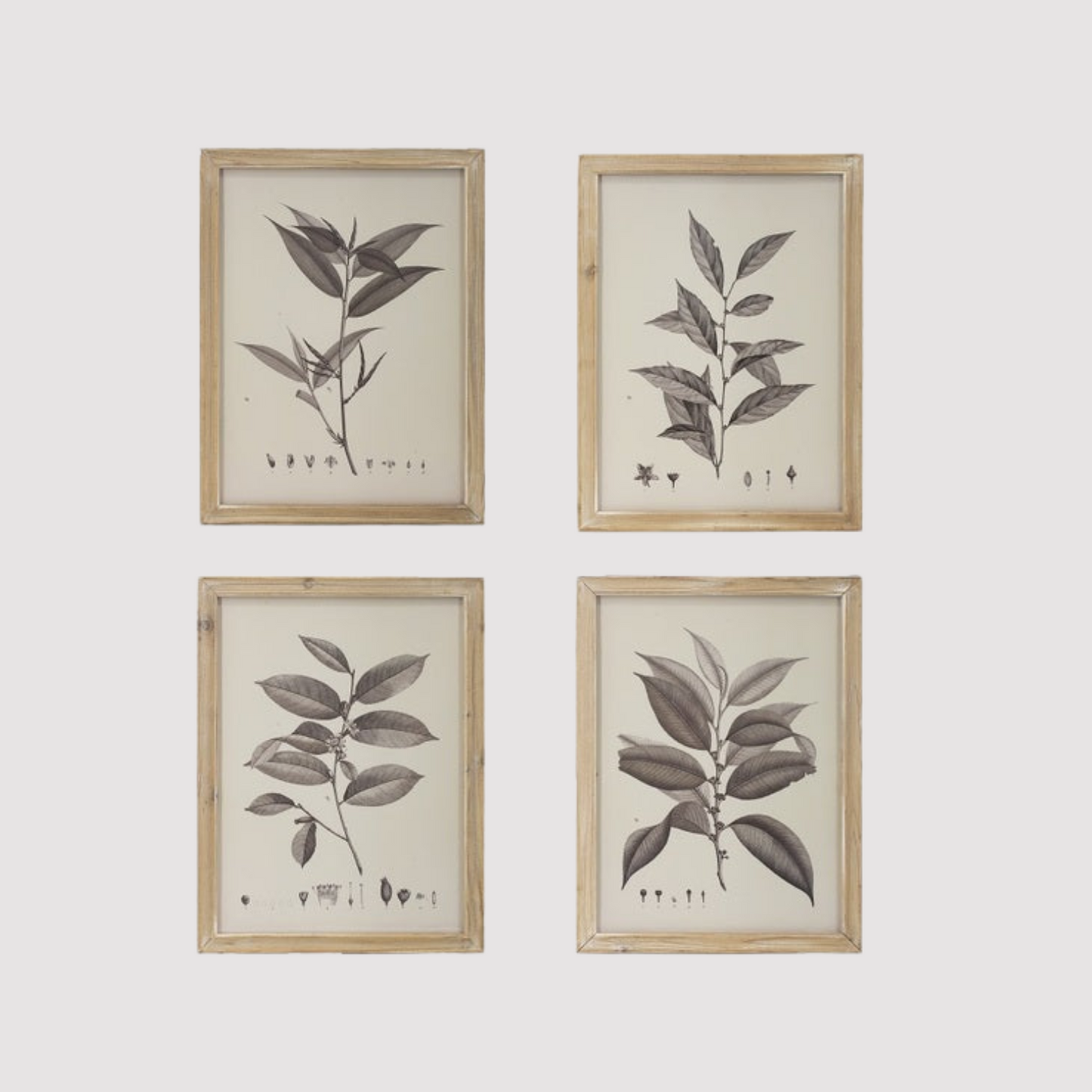 Set of 4 Botanical Wall Décor Frames