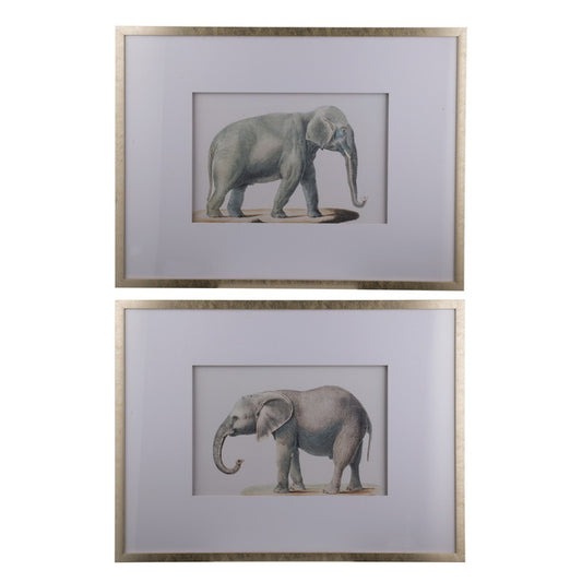 Set of 2 Elephant Print Frames