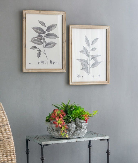 Set of 4 Botanical Wall Décor Frames