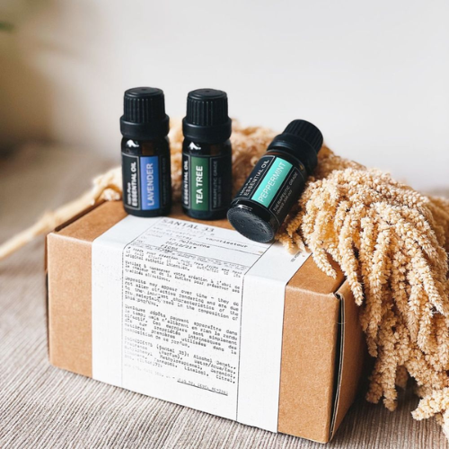 Aromatherapy Harmony Essential Oil Set