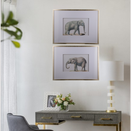 Set of 2 Elephant Print Frames