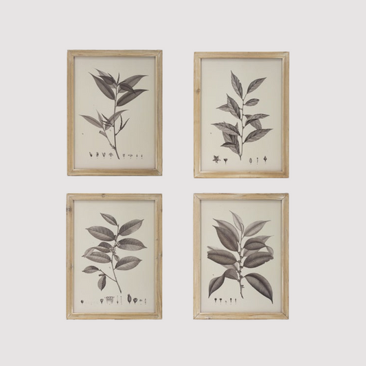Set of 4 Botanical Wall Décor Frames
